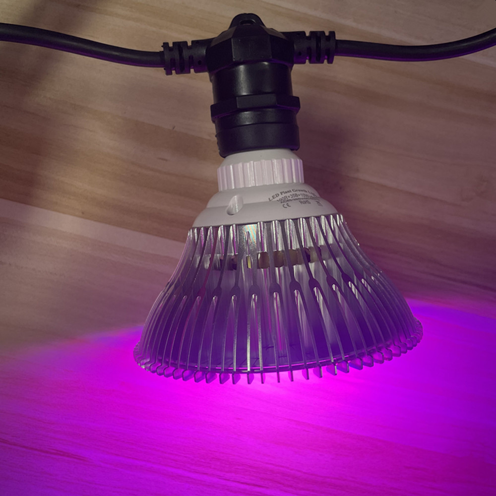 Cabo de LED de 10M à prova d'á - Outdoor Lighting Globes avaliação e preço