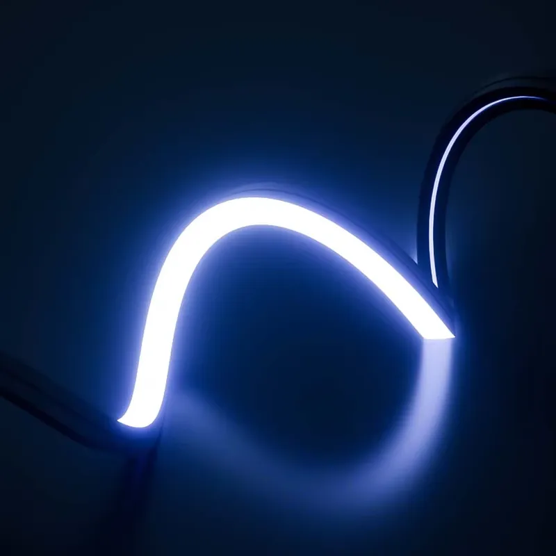 Fita de LED Neon Colorida Perf - Outdoor Lighting Ip65 avaliação e preço